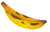 La Lune et le bananier - illustration 3