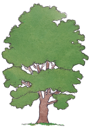 Le Chêne et le Roseau - illustration 7