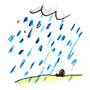 Rain - illustration 2